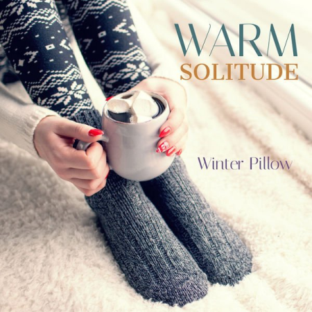 Various Artists - Warm Solitude: Winter Pillow (2020)