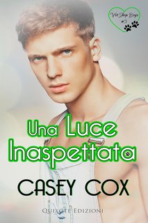 Casey Cox - Vet Shop Boys Serie Vol. 3. Una luce inaspettata (2024)