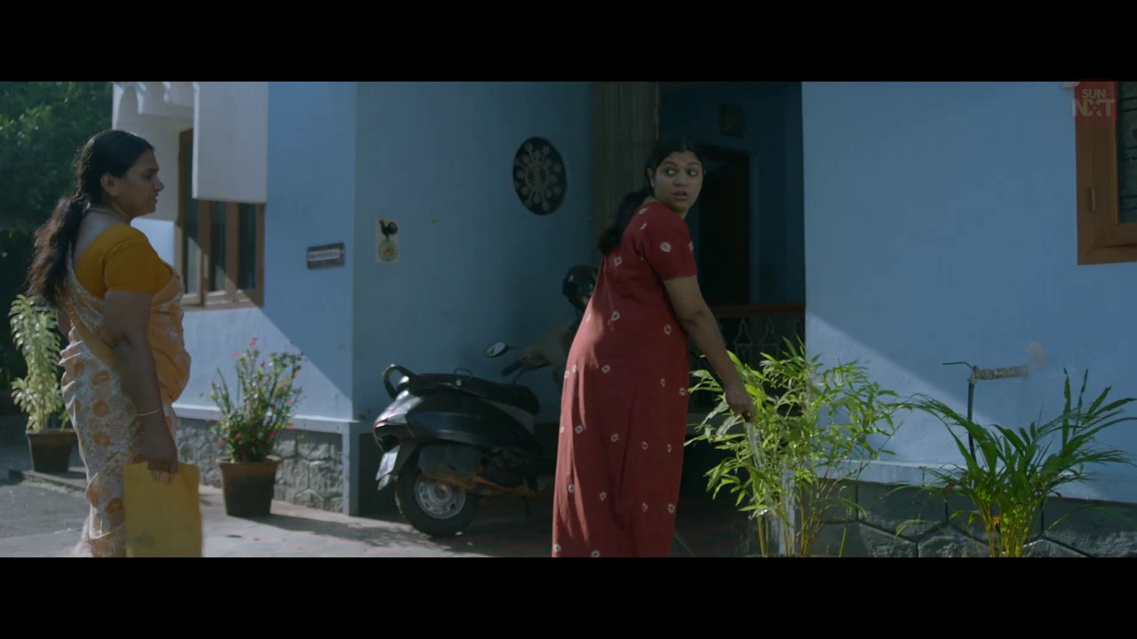 vlcsnap 2026 02 11 15h39m52s551