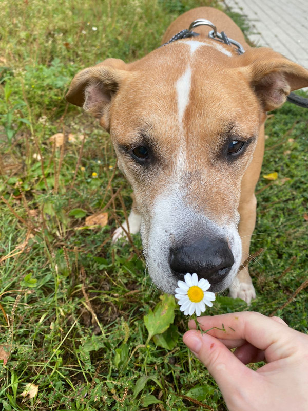 6EA3715E-CF15-42DE-9F9E-CE407455A0AA