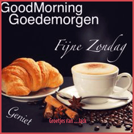 450-bl-7a61e27c8e1d8c32811ead37dce7b676