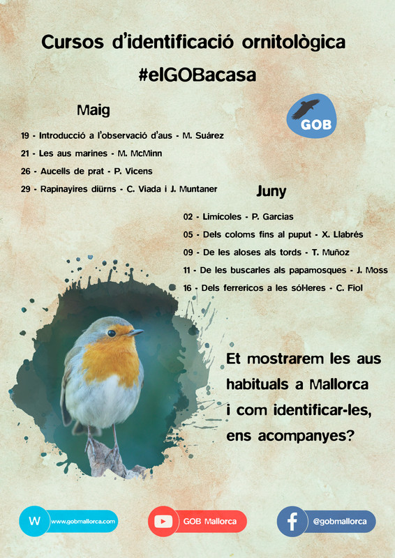 curs identificacio (1)