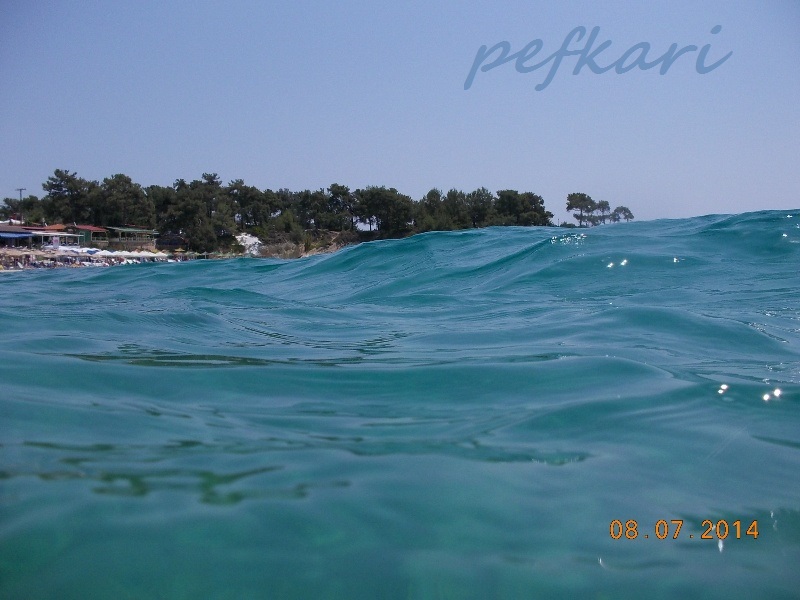 Slika