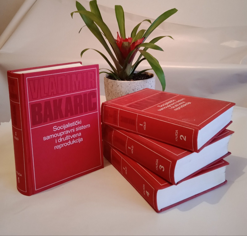 bakaric-samoupravni-sistem