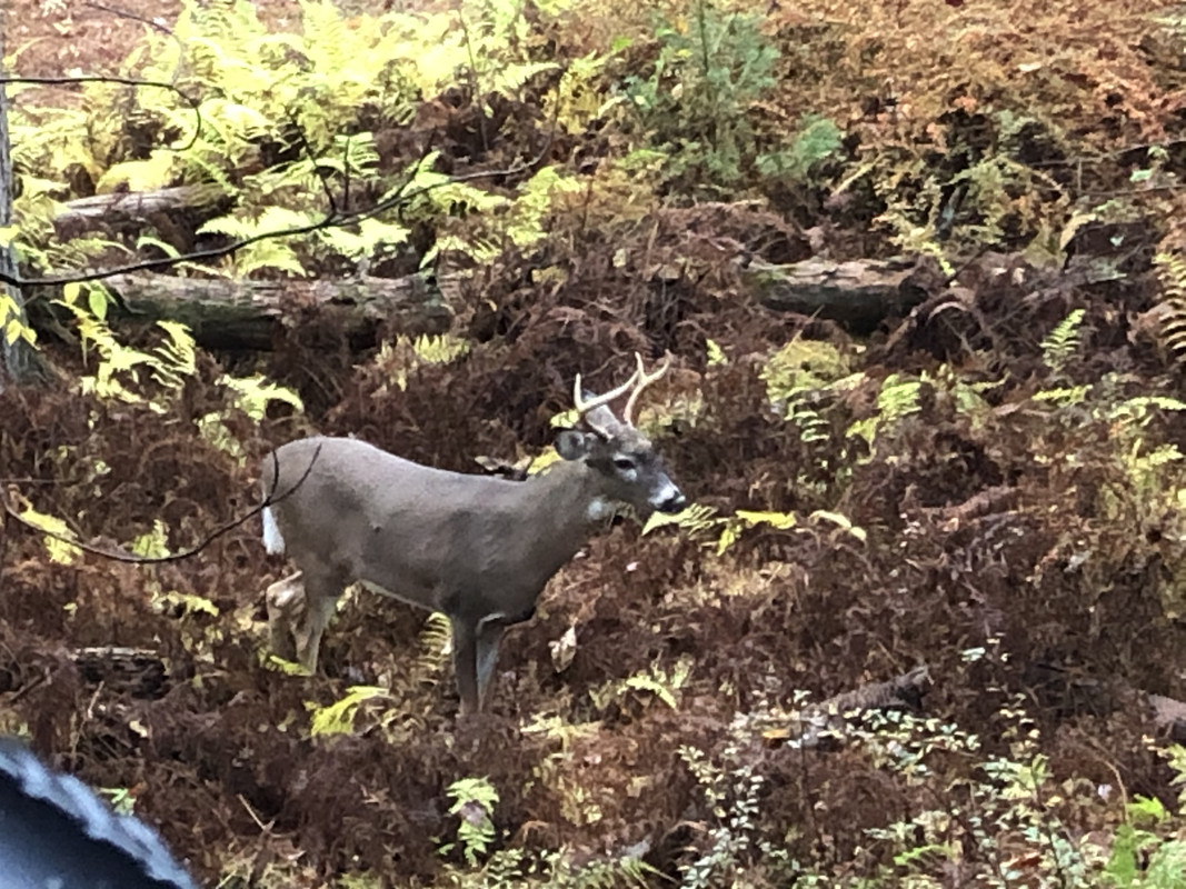 2D8BAC5F-E5E7-4149-A16D-9FDB54CF7691