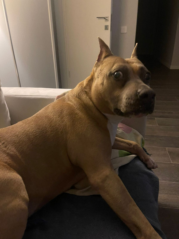 WhatsApp Image 2023-12-13 at 12.47.43 (1)