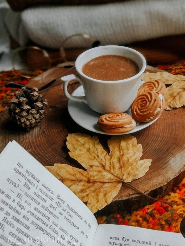 Screenshot_20231015_211506_Pinterest