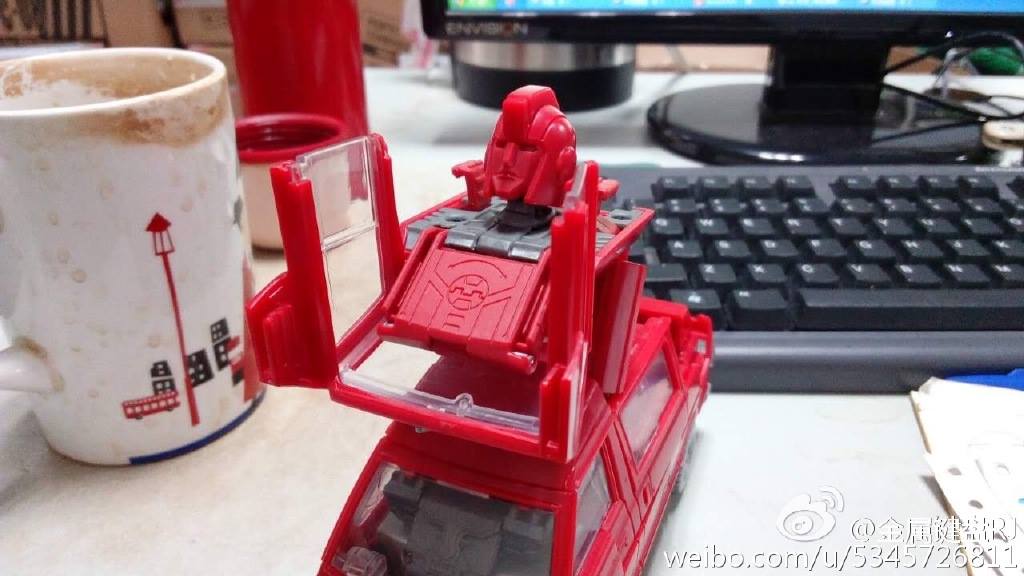 12473666_201580926859009_2529642932975625206_o