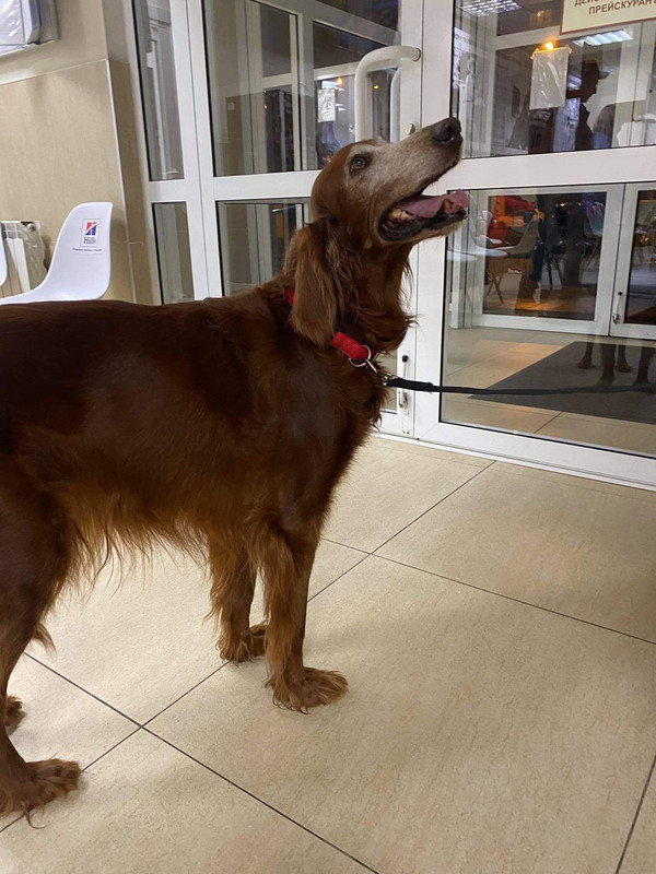 284C3E5B-BDD3-46F5-B956-DF75D63B9FBD