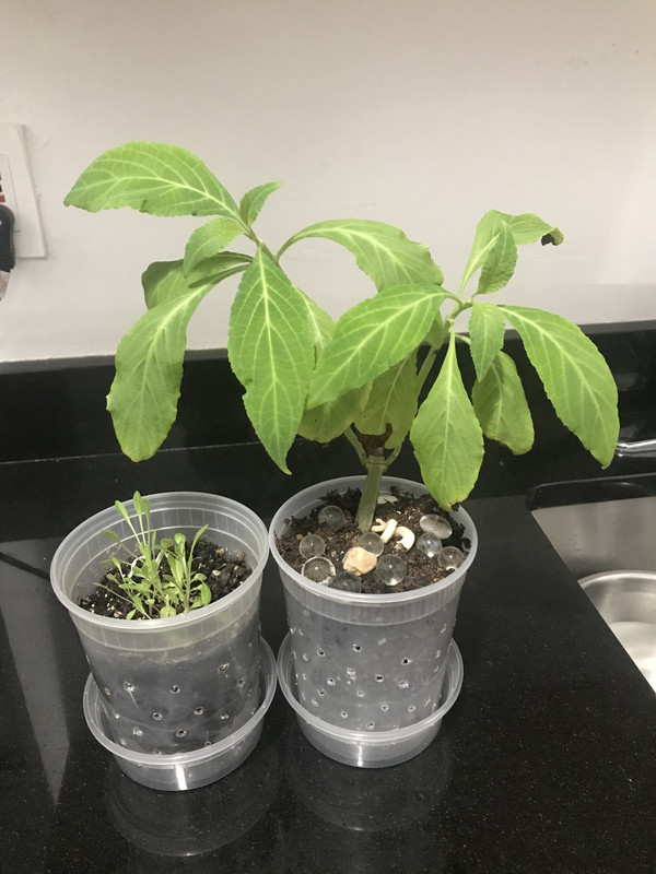 5DF0F743-7210-43F2-B6E1-D7651BCDEA0B