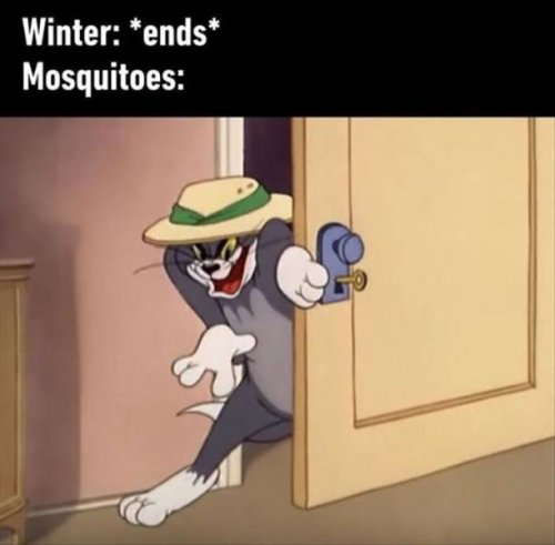 119th.jpg