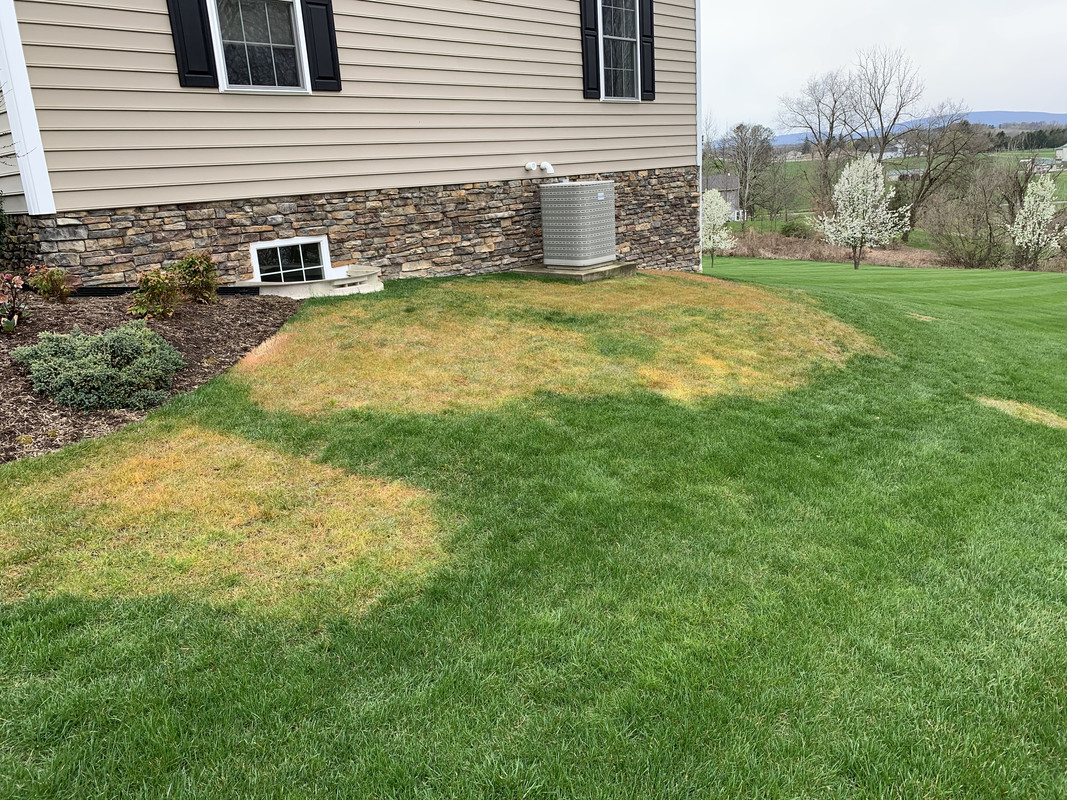 Photo Apr 14, 5 33 33 PM (1)