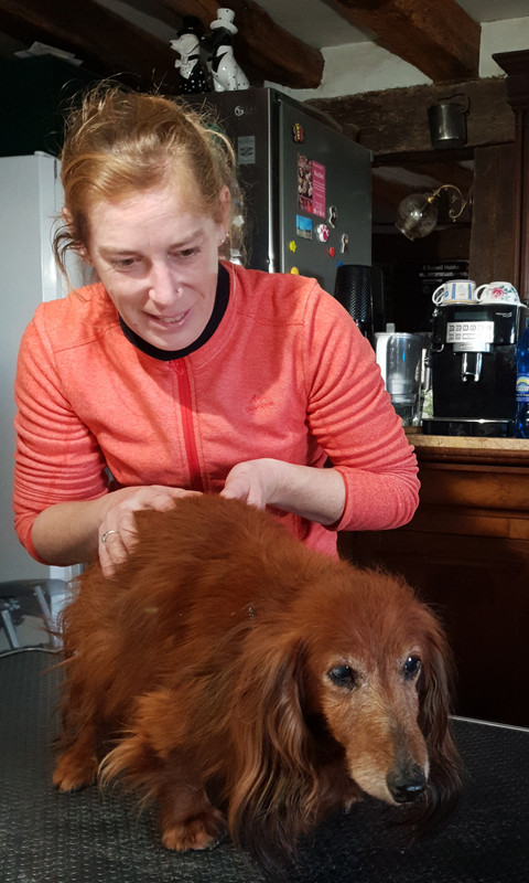 [Image: 20210126-152010.jpg]