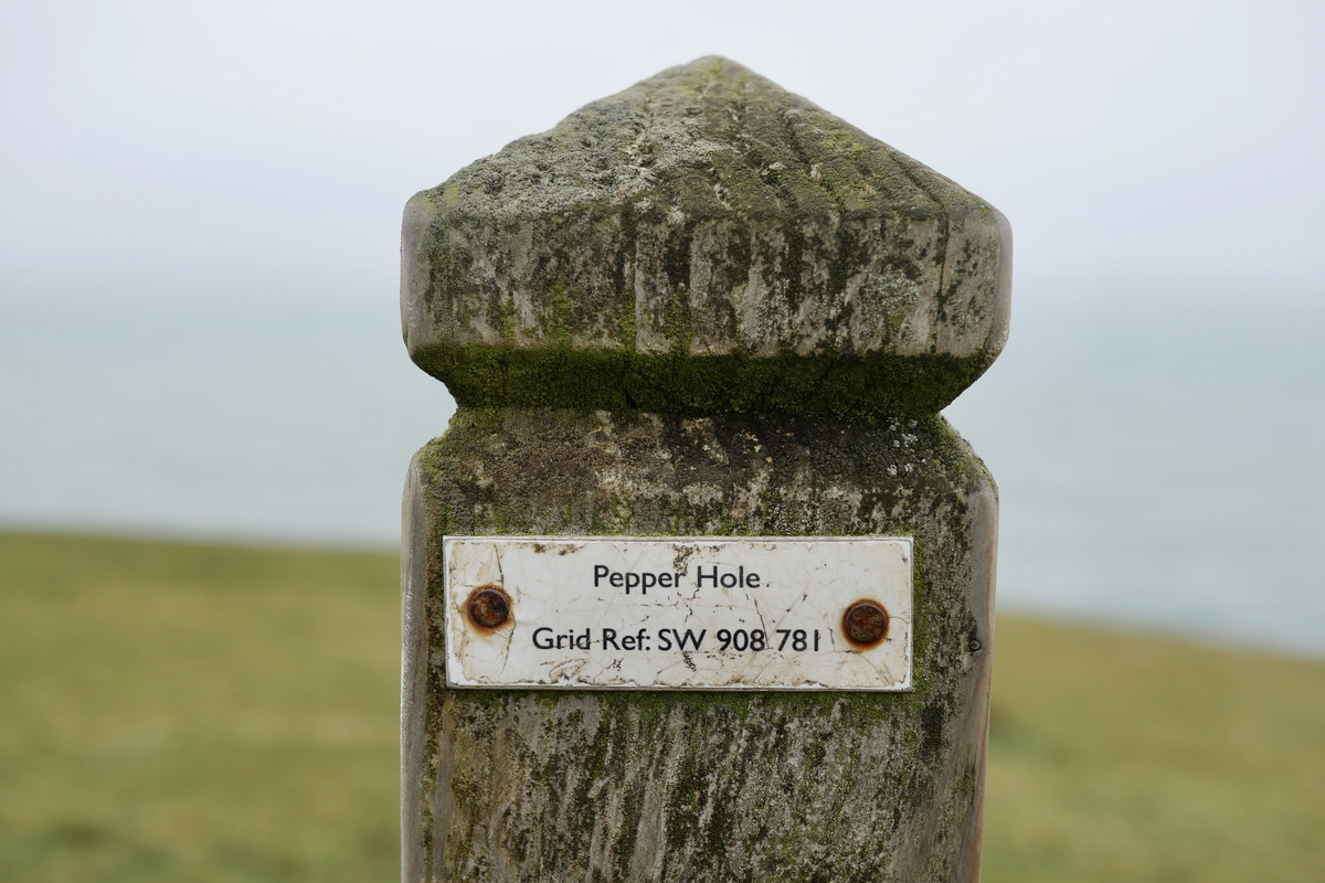 DC9172E8-FDA8-4012-A7F7-1E81B1603630