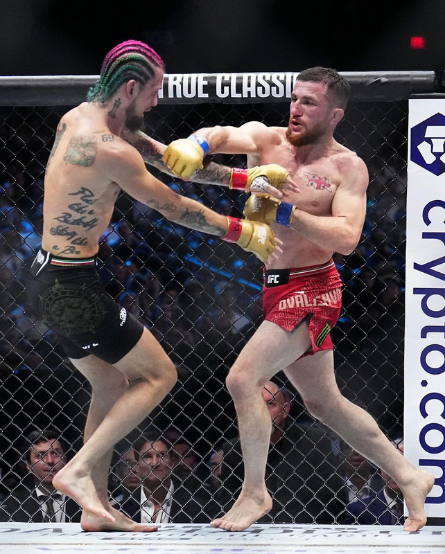 Snapinsta-app-459570221-857749779410309-