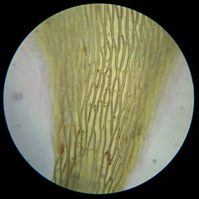 IMG 20250617 110012 HDR