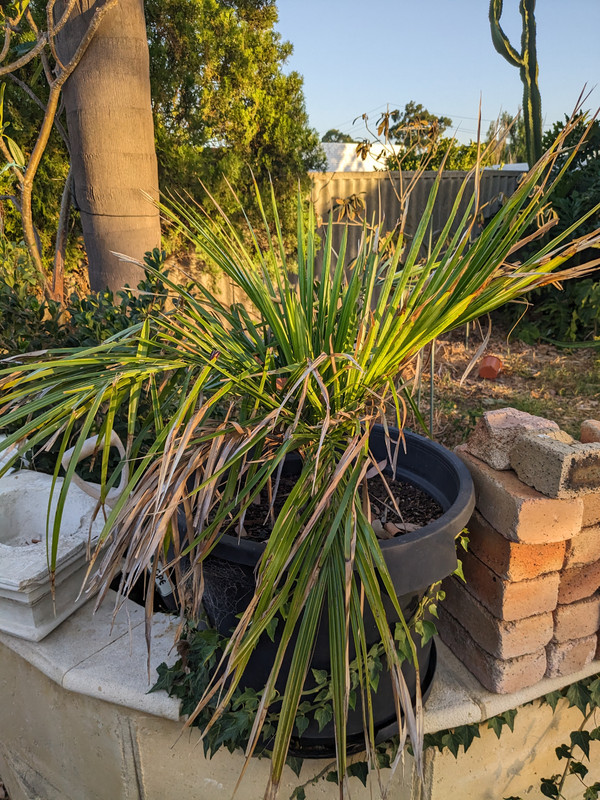 PXL_20241231_105728407