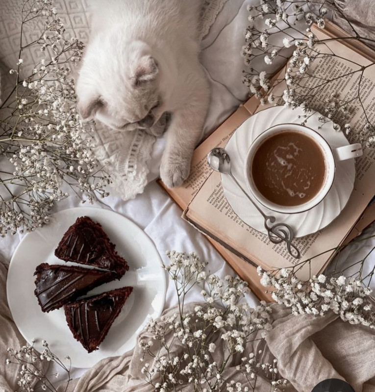 Screenshot_20240506_225211_Pinterest