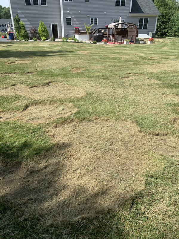 3BD04400-5DDA-4689-A18C-C8667BB59A50