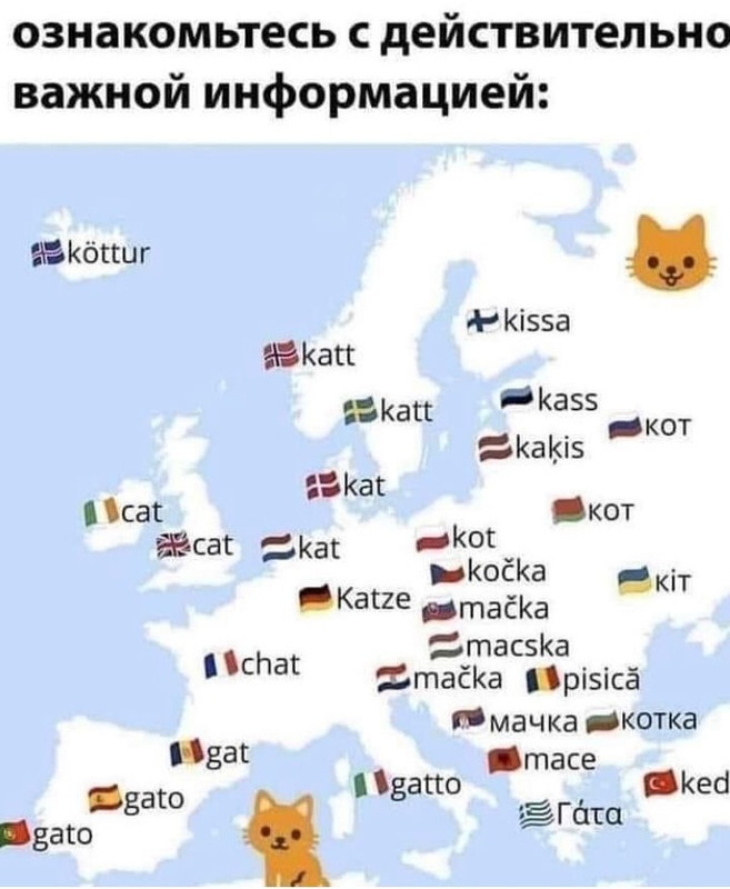 IMG-20231028-WA0003_edit_1242495418245299