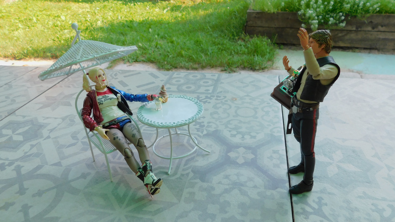 Дачно-Харлинский июнь-июль 2024 087