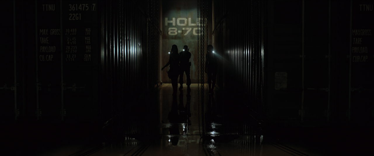 Resident Evil Afterlife (2010) (1080p Bluray HDR AV1 Opus) [NeoNyx343] - [01:13:22.315]v1