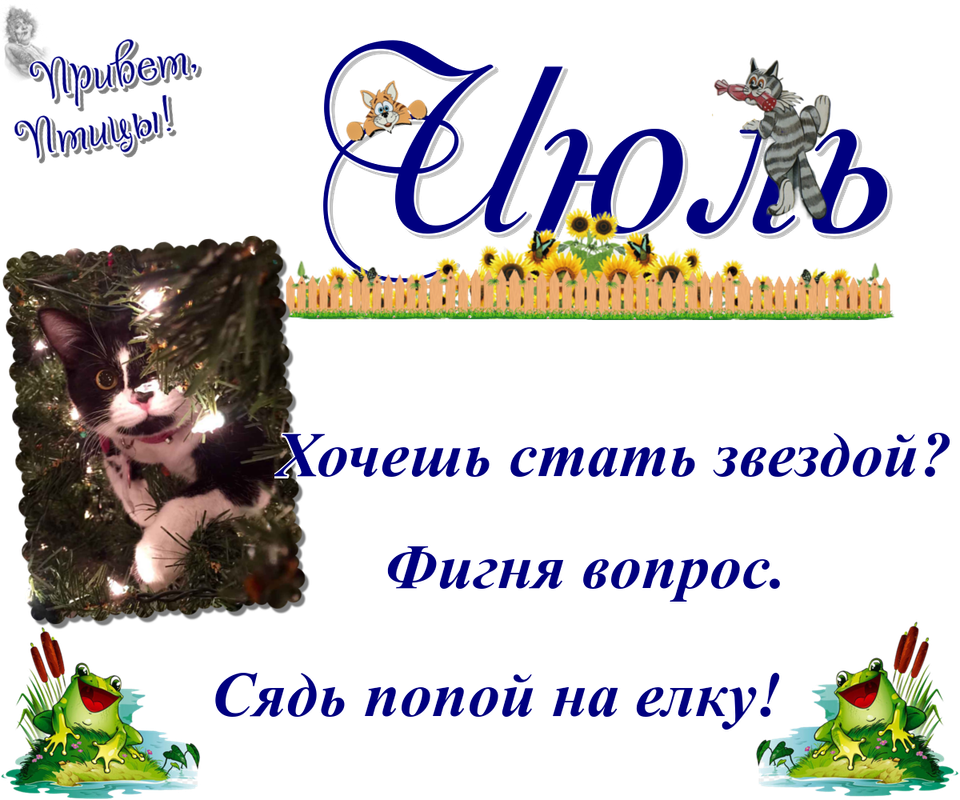https://i.postimg.cc/WzJkJvf5/06-07.png