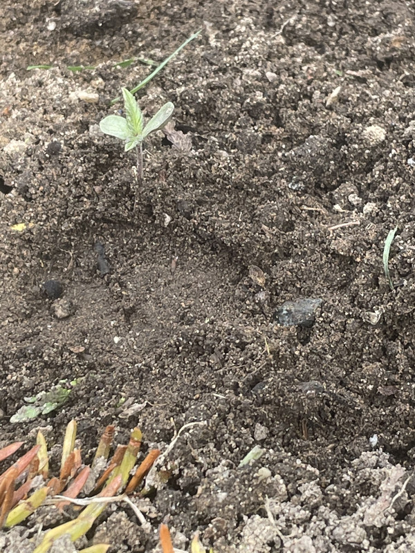 E58039A9-0E71-467D-88E6-474DE2658838