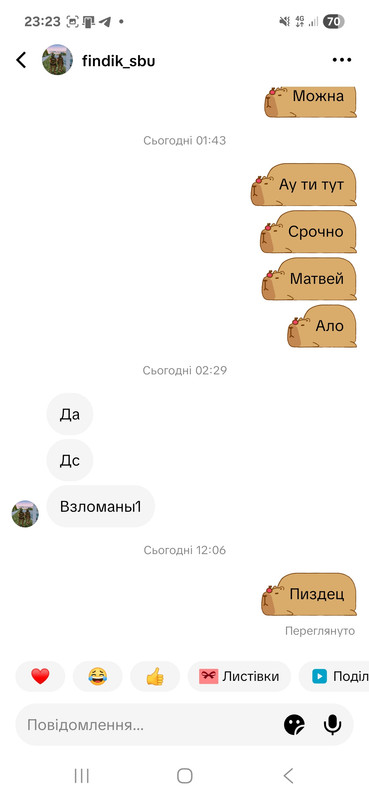 Screenshot 20260804 232329 Tik Tok