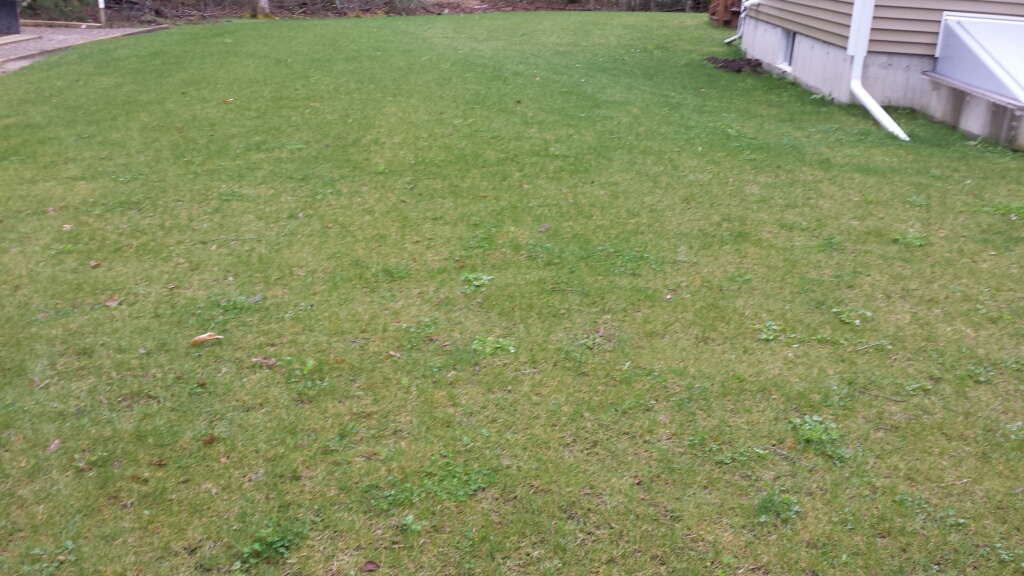 20140427_122707_resized