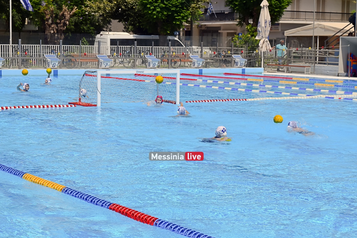 ml-argis-polo-promini-14-20250620