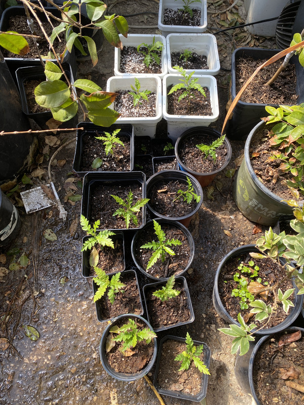 A036711A-3C53-4021-B218-7BBA237432BF