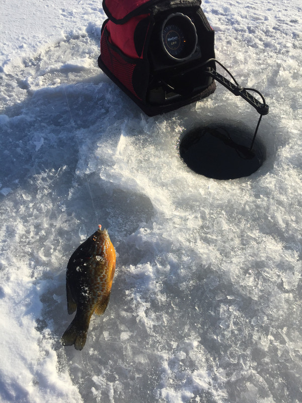 3B714B27-B304-414C-BC4D-13F66157867D