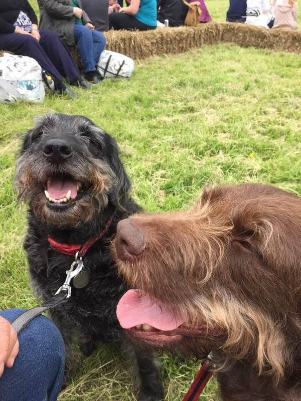 CE8F5B3A-7266-4897-9102-797A088BF094