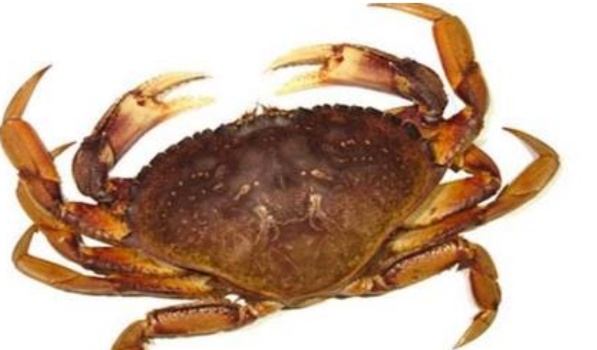 Screenshot-2021-01-03-22-35-21-845-com-a