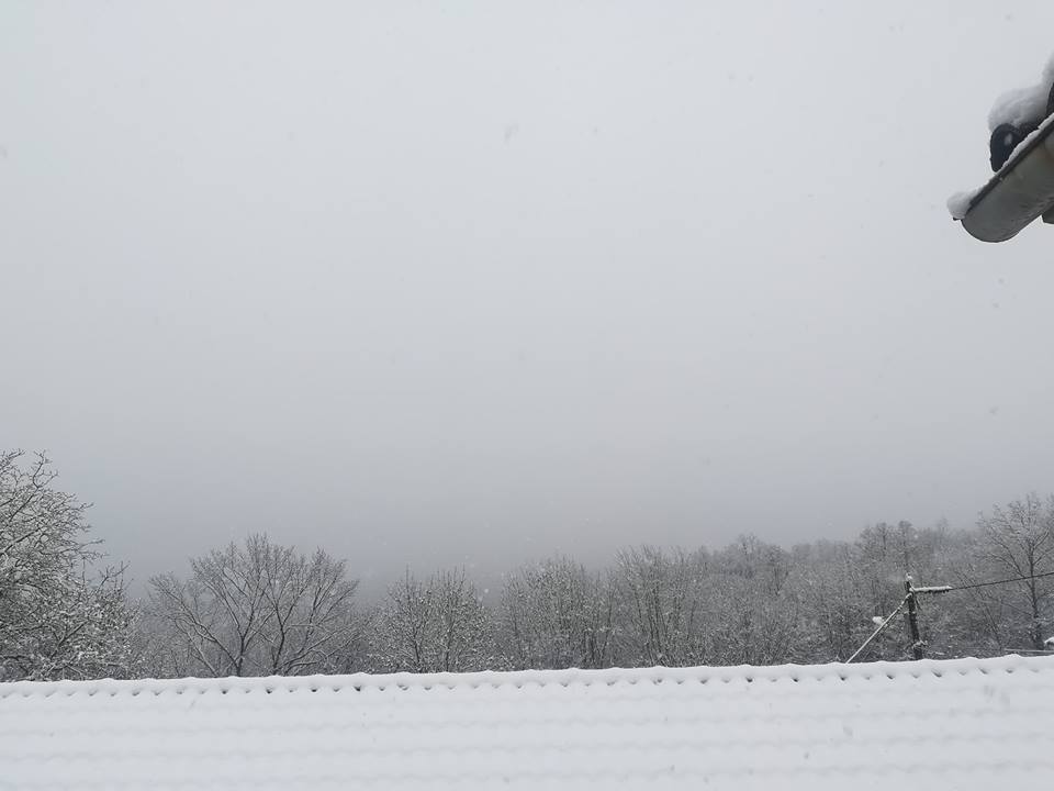 ?krapna, Miroslava Bakunić Lozić