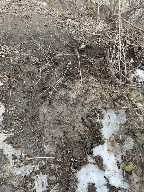 26786D5D-C6FB-4DE0-A617-627204BBA8AC