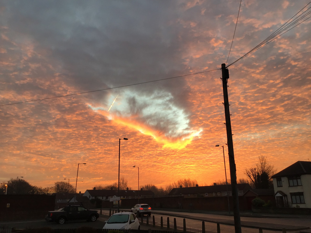 412FF2A7-D8FC-41E4-8C91-965D691756A1