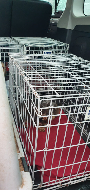 [Image: 20230509-105638.jpg]