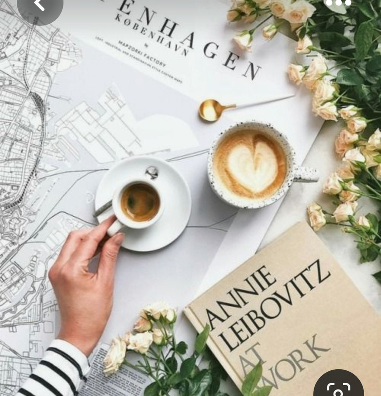 Screenshot_20230330_235007_Pinterest