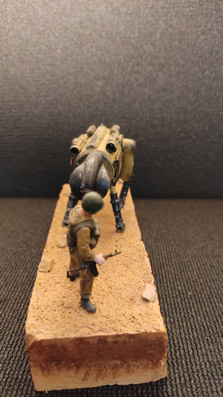 εικόνα_Viber_2025-05-04_18-17-41-111