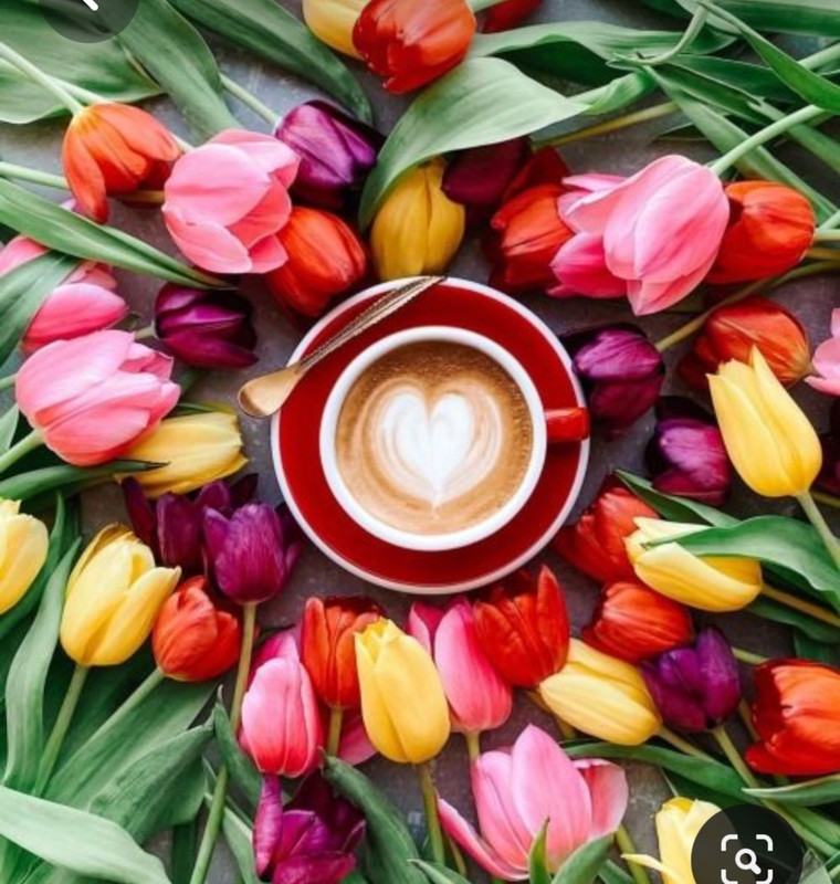 Screenshot_20230712_011814_Pinterest