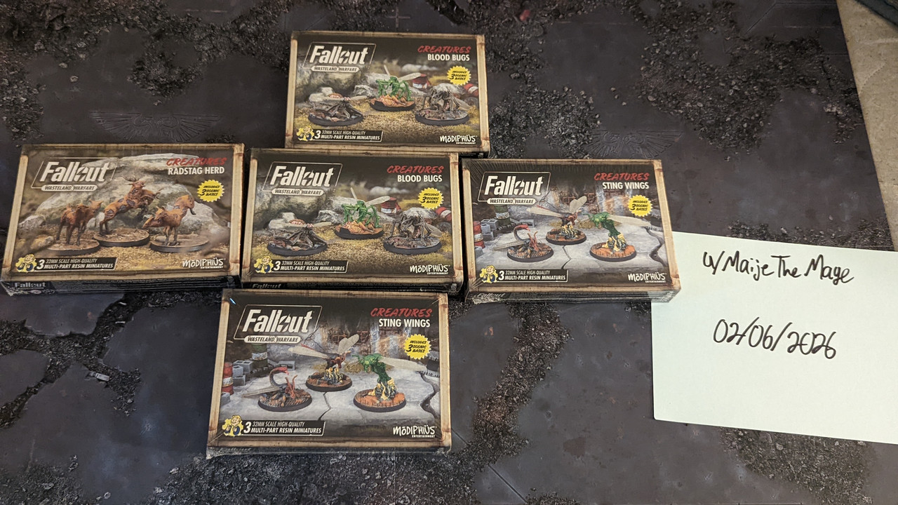 PXL 20260206 182643468