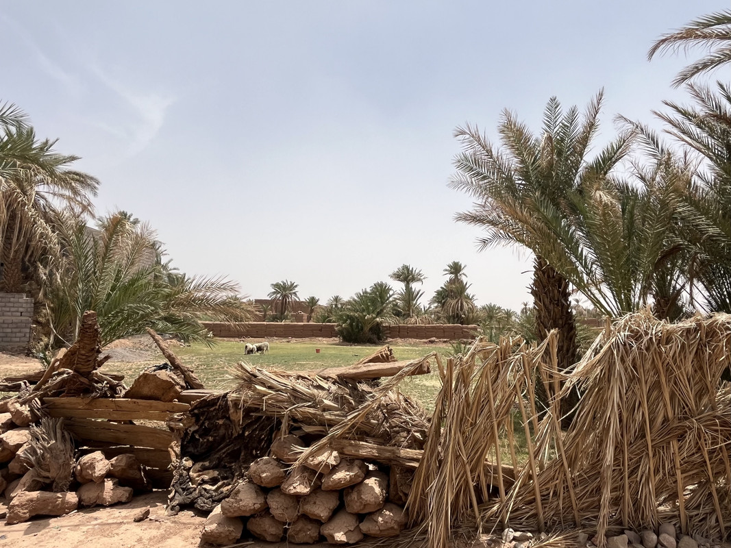 El palmeral de los Katawa : Tagounite - El Valle del Drâa, la gran arteria del sur de Marruecos (14)