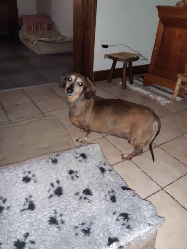 [Image: 20200721-162156.jpg]