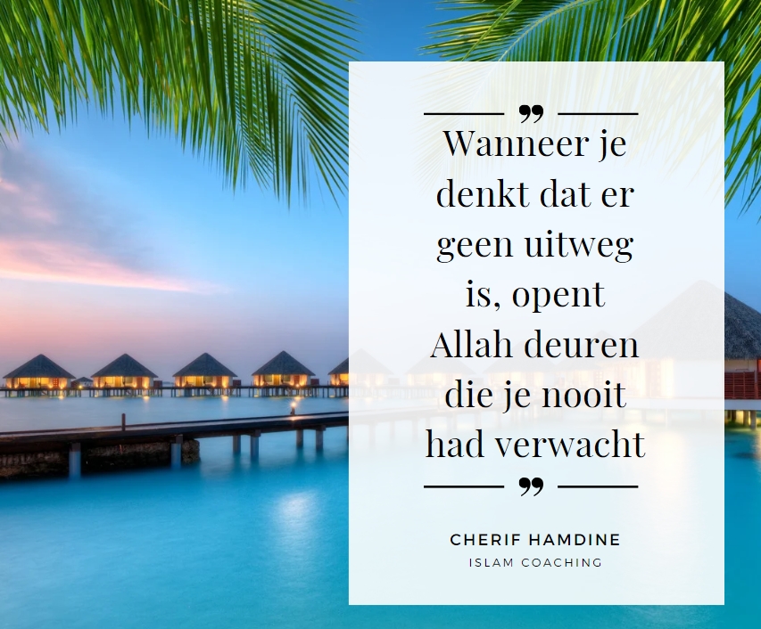 Schermopname-23-2-2025-10748-www-canva-com