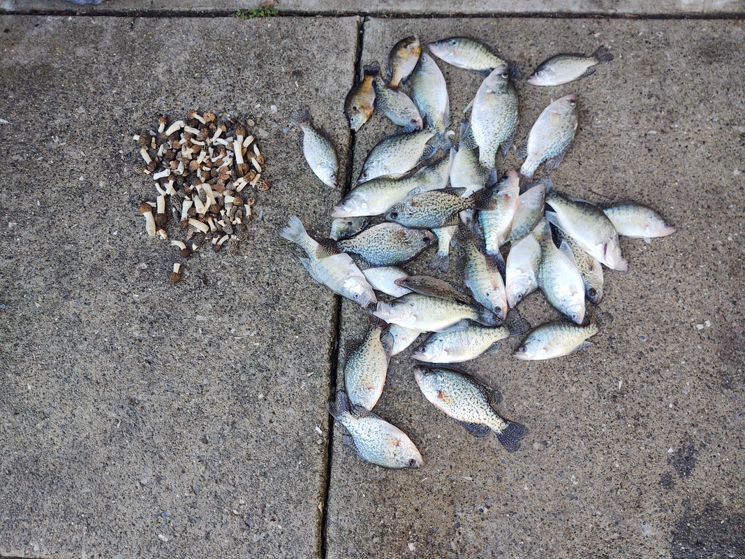 IMG_20200421_173919693