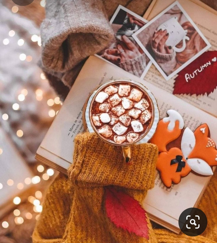 Screenshot_20230923_172946_Pinterest