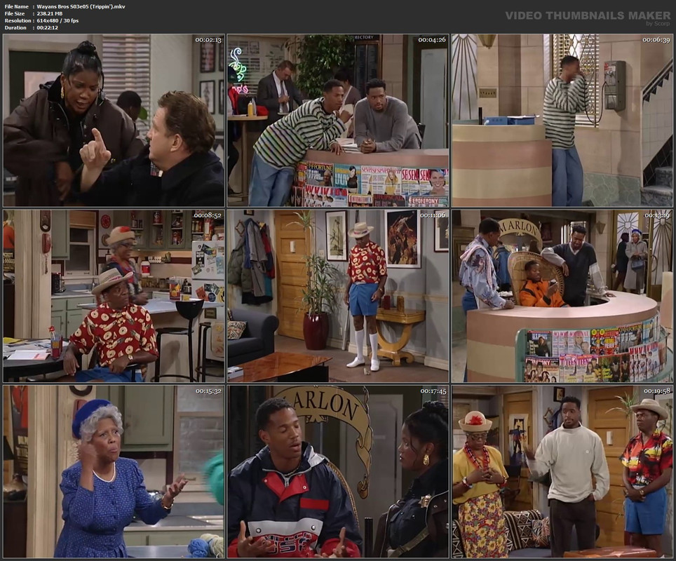 Wayans Bros S03e05 (Trippin').mkv