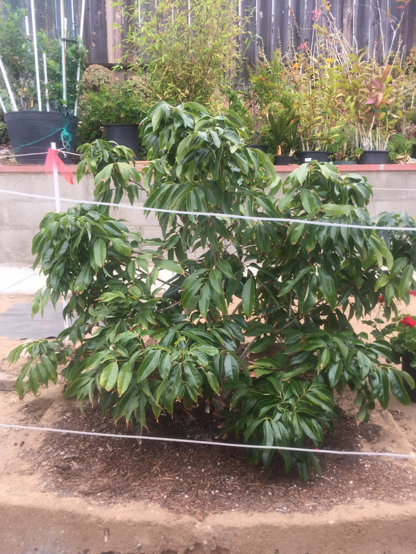 DA1B10DA-C4AE-42B2-A048-1EF22C70C329